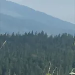 у насті 홈스테이