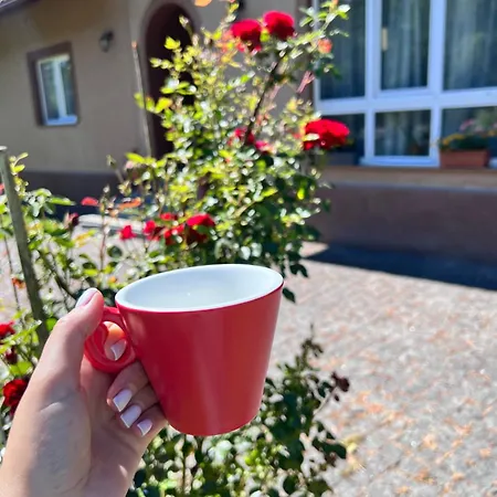 у насті Homestay Nizhniy Studenyy