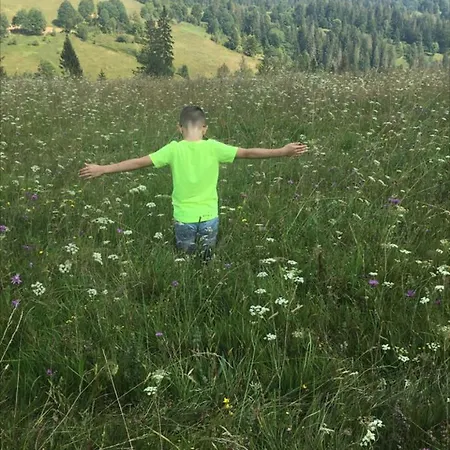 у насті *