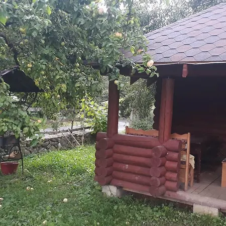 у насті