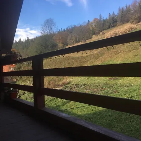 Homestay у насті Nizhniy Studenyy